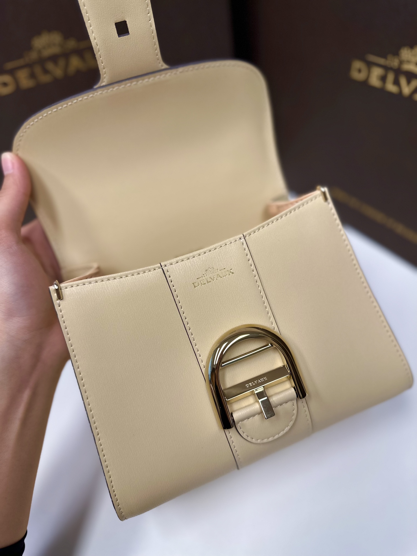 델보 브리앙 박스백 미니